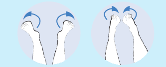 gimnastika3.png